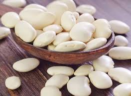 تصویر 1 از کنسرو لوبیا سفید درجه یک 420 گرمی + فروش ویژه